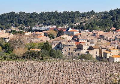 Portel des corbieres vue sur le vignoble de corbieres routes touristiques de l aude guide du tourisme du languedoc roussillon